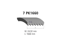 حزام المساعدة DT Spare Parts 7420981930
