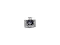 Einspritzventil DT Spare Parts 166005070R