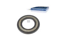 Dichtring DT Spare Parts 5001843136