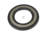 Dichtring DT Spare Parts 5001843136