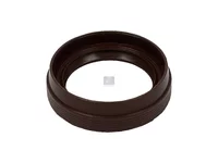 Wellendichtring DT Spare Parts 7703087188
