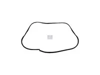 Dichtrahmen DT Spare Parts 8200676994