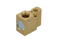 صمام التمدد DT Spare Parts 7701040563