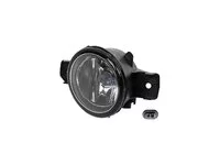 Nebelscheinwerfer DT Spare Parts 8200002470