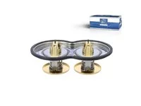 Termostat DT Spare Parts 1745449