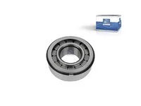 Rollenlager DT Spare Parts 1309569