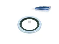 Dichtring DT Spare Parts 06566310112