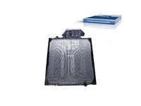 Radiator DT Spare Parts 81061016459