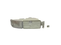 Blinkleuchte DT Spare Parts 81253206110