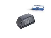 Kennzeichenleuchte DT Spare Parts 81252256182