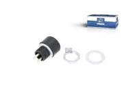 Interruttore di pressione DT Spare Parts 81255030222