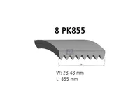 حزام المساعدة DT Spare Parts 81968200051