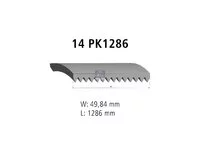 Correa en V DT Spare Parts 51968200319