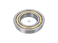 Rollenlager DT Spare Parts 0029817201