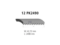 Auxiliary belt DT Spare Parts 5429970092