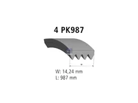 Correa en V DT Spare Parts 504012393