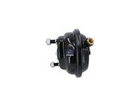 Bremszylinder DT Spare Parts 0064201924