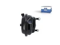 Bremszylinder DT Spare Parts 0064201924