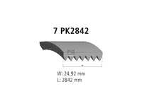 Auxiliary belt DT Spare Parts