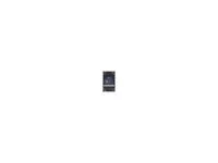 Blinkleuchte DT Spare Parts 2334728