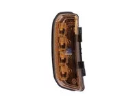 Blinkleuchte DT Spare Parts 2334728
