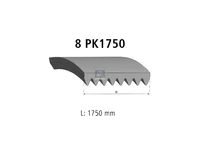حزام المساعدة DT Spare Parts 20430614