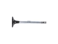 Einlassventil DT Spare Parts 4600530001 Einlassventil DT Spare Parts 4600530001
