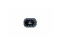 Einspritzventil DT Spare Parts 166001387R