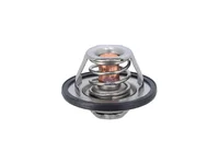 Termostat DT Spare Parts 30863985