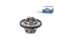 Termostat DT Spare Parts 30863985