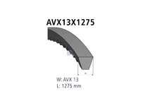 Set curea V DT Spare Parts 0059971992