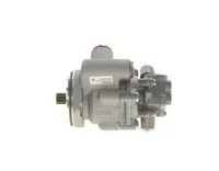 Tandem pump BOSCH 1863427