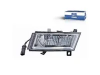 Nebelscheinwerfer DT Spare Parts 2552714