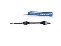 Eje primario DT Spare Parts 8200842369