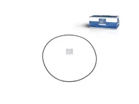 O-Ring DT Spare Parts 5010319267
