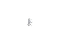 Bulb 989829