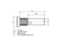 Wheel bolt DT Spare Parts