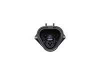 Mirror arm DT Spare Parts 81637316638