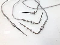 Uitlaatgastemperatuursensor DAF 2122601