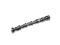 Nockenwelle BF Germany 2112481