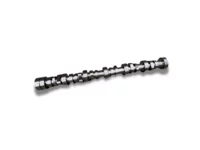 Camshaft BF Germany 2112479