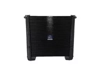 Intercooler DT Spare Parts 81061300133