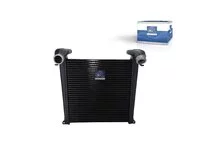 Intercooler DT Spare Parts 81061300133