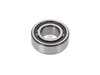 Rollenlager DT Spare Parts 85300011831