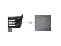 Grilă DT Spare Parts 81416146085