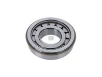 Rollenlager DT Spare Parts 0029819018