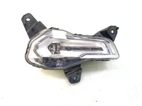 Lampa de ceata Dreapta DAF 2188902