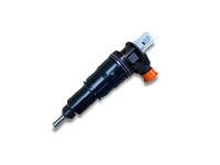 Injector Delphi Corporation 22459522 Injector Delphi Corporation 22459522