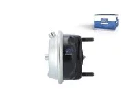 Пружинный тормозной цилиндр DT Spare Parts 1791410