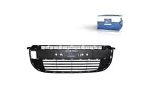 Grilă DT Spare Parts 622549985R Grilă DT Spare Parts 622549985R